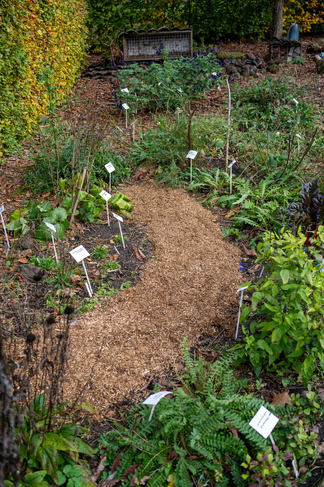 Bio Kultura Miscanthus-mulch Big Bag foto 6