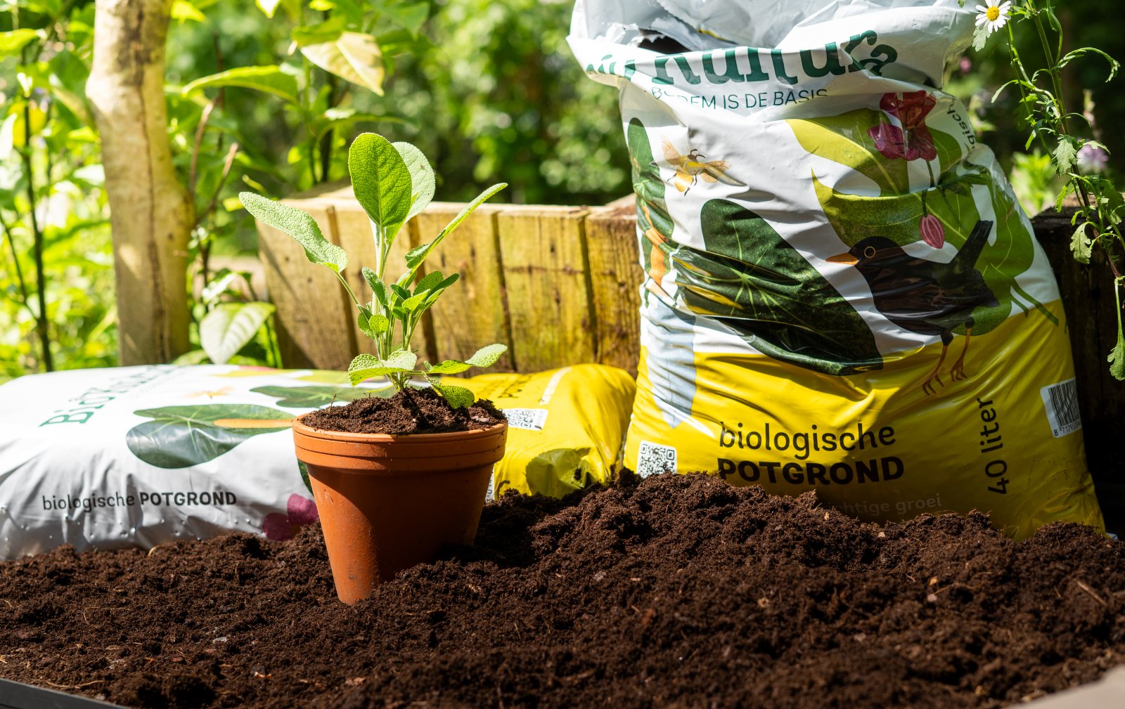 Bio-Kultura Potgrond Big Bag foto 6